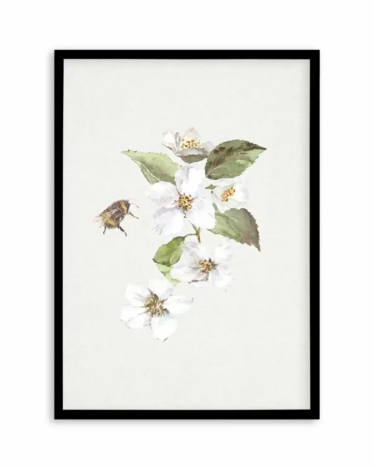 Botanica Bees II Art Print from Olive et Oriel where you can shop wallpaper and artworks online
