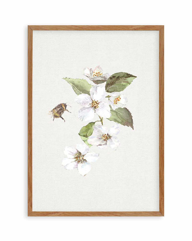 Botanica Bees II Art Print