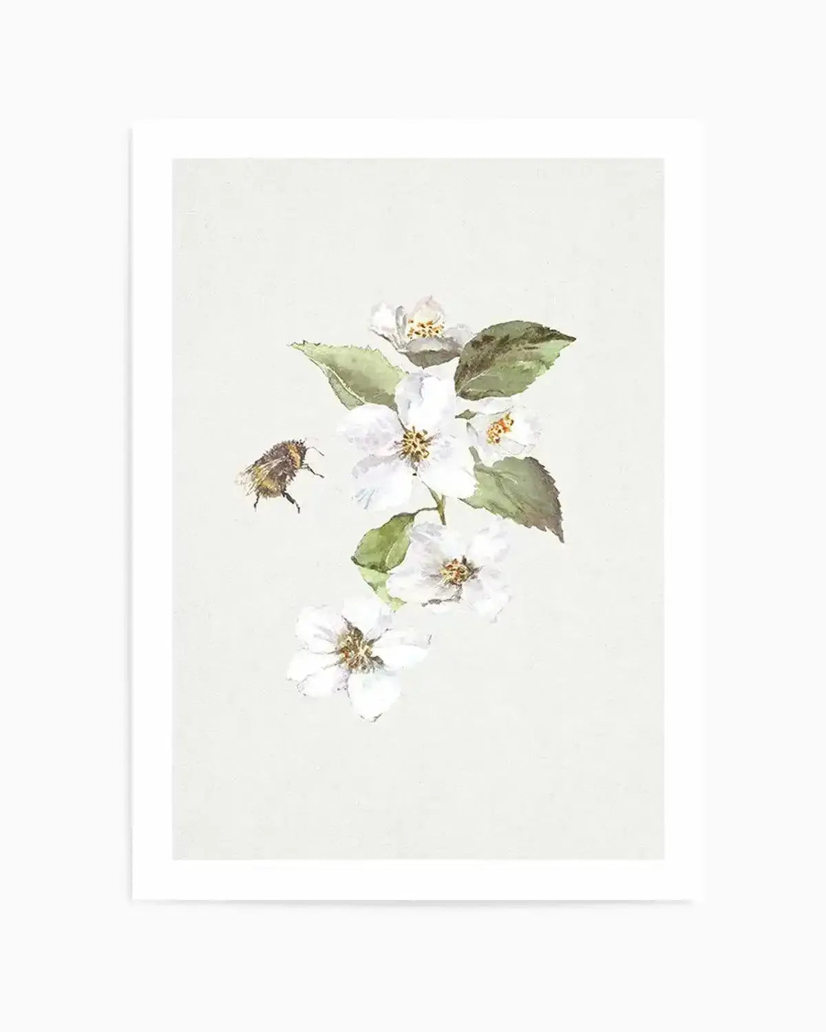 Botanica Bees II Art Print from Olive et Oriel where you can shop wallpaper and artworks online