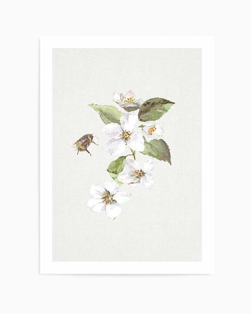 Botanica Bees II Art Print