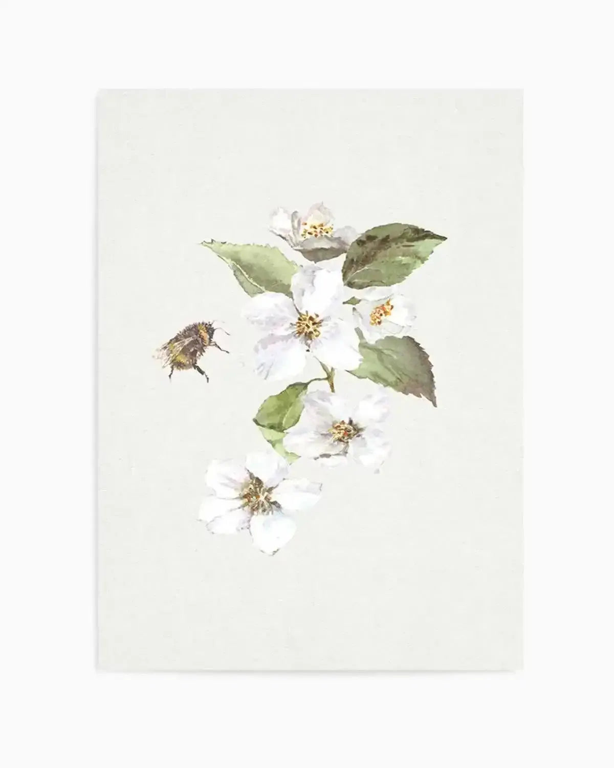 Botanica Bees II Art Print from Olive et Oriel where you can shop wallpaper and artworks online