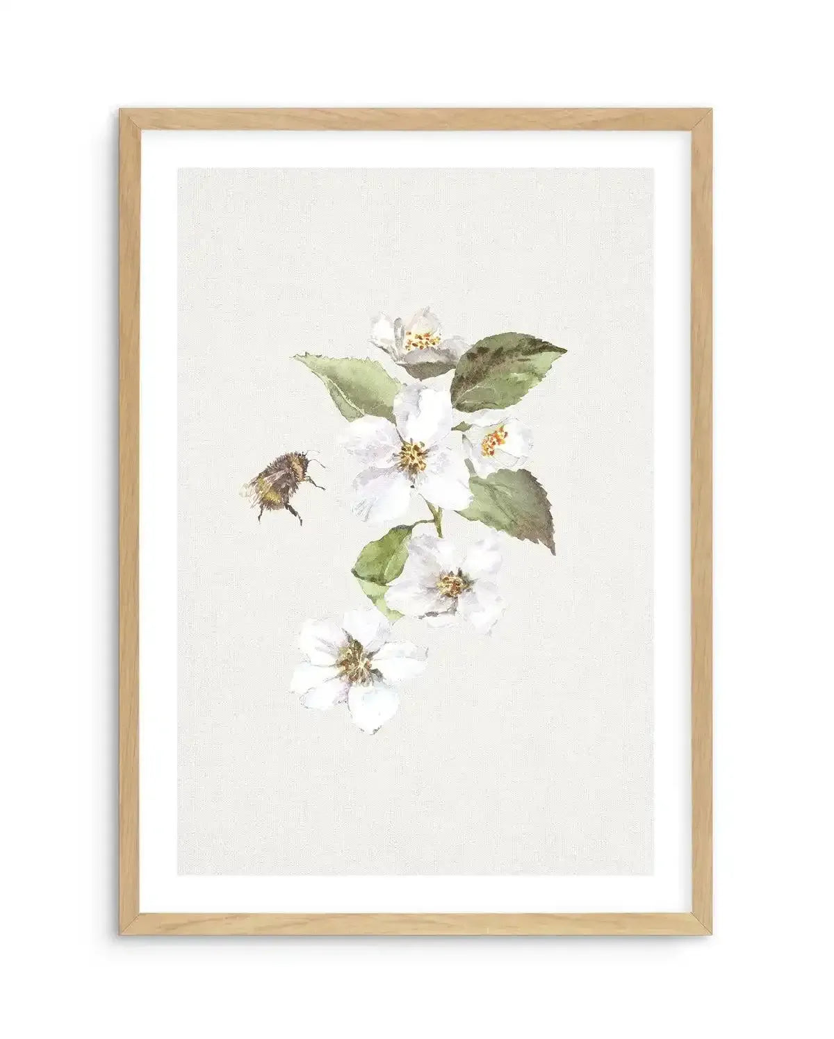Botanica Bees II Art Print-PRINT-Olive et Oriel-Olive et Oriel-A5 | 5.8" x 8.3" | 14.8 x 21cm-Oak-With White Border-Buy-Australian-Art-Prints-Online-with-Olive-et-Oriel-Your-Artwork-Specialists-Austrailia-Decorate-With-Coastal-Photo-Wall-Art-Prints-From-Our-Beach-House-Artwork-Collection-Fine-Poster-and-Framed-Artwork