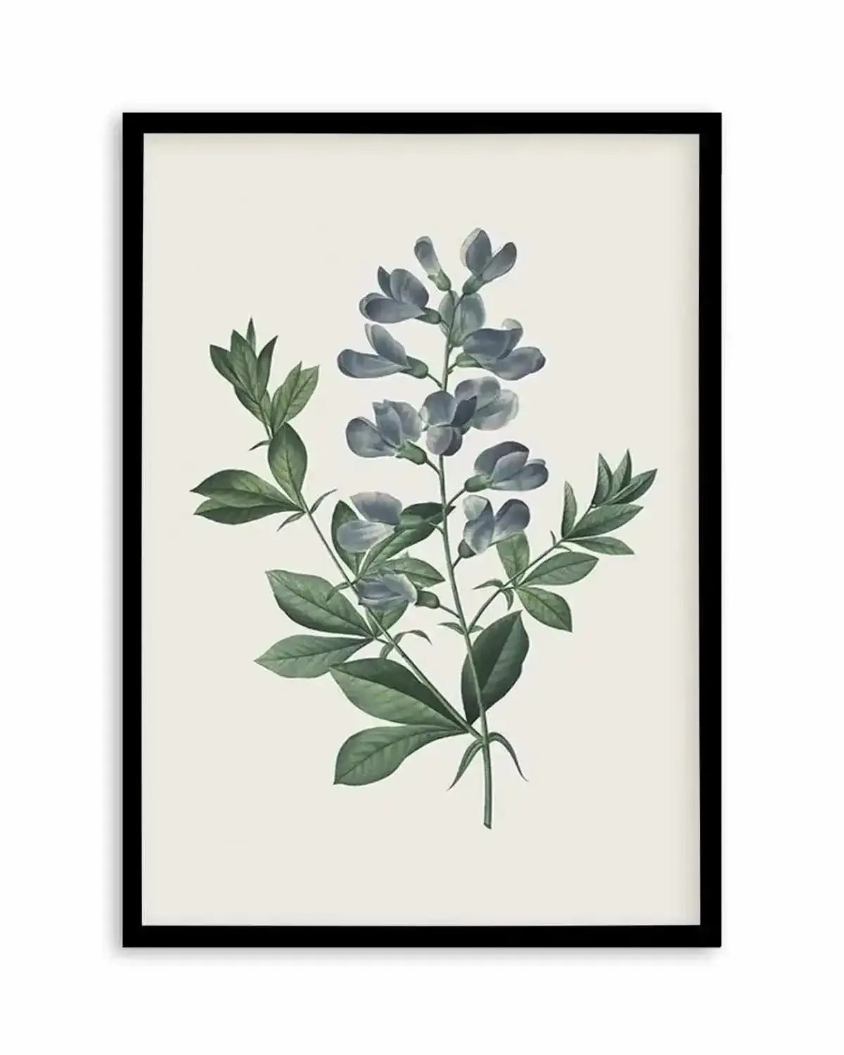 Botanica I Art Print from Olive et Oriel where you can shop wallpaper and artworks online