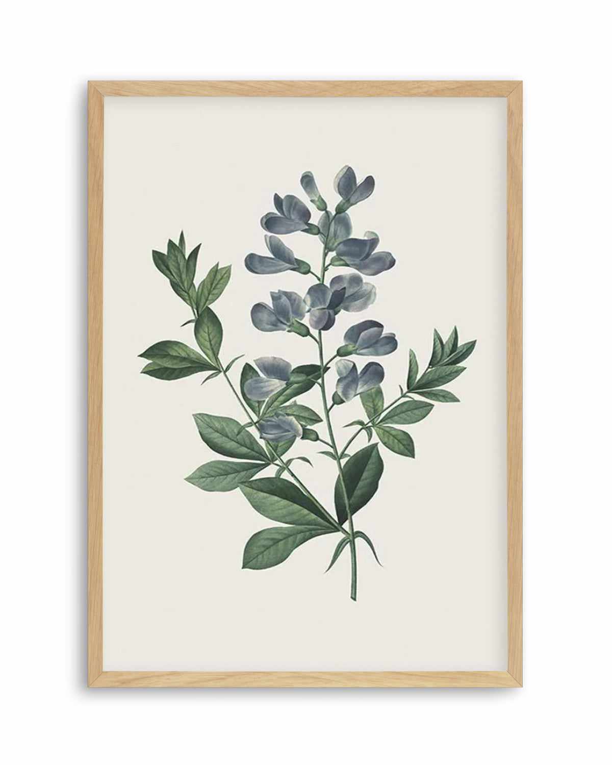 Botanica I Art Print