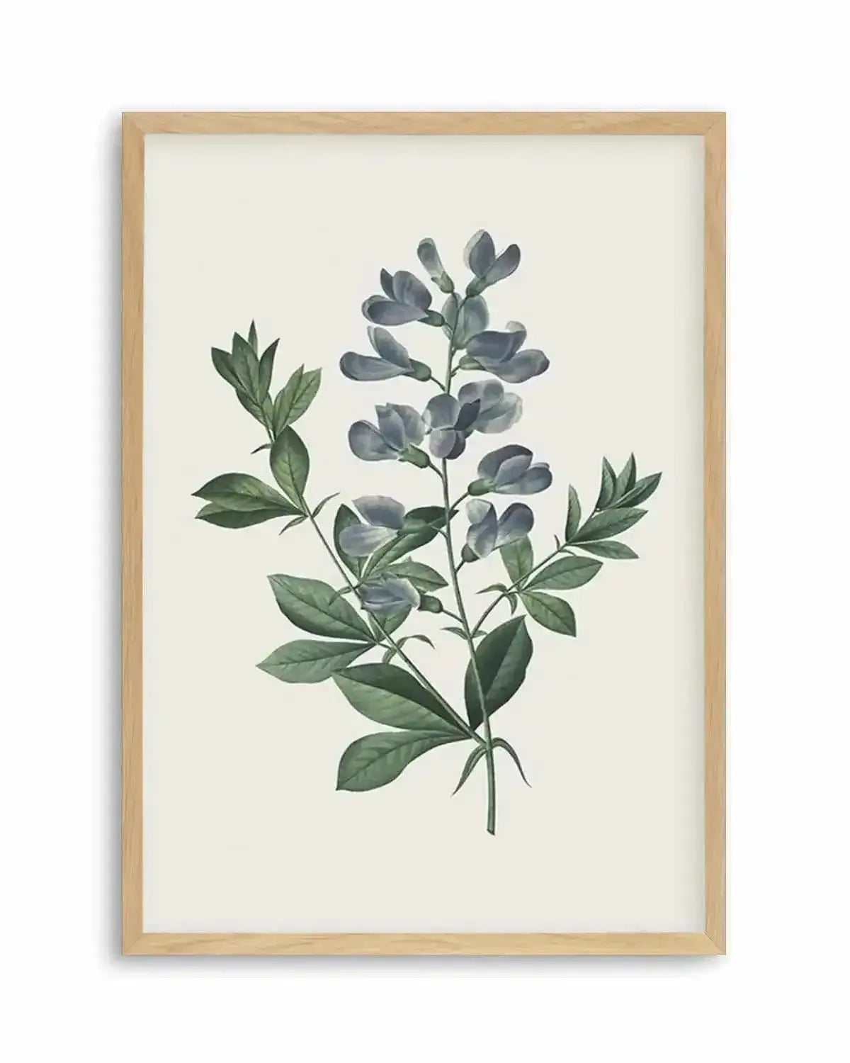 Botanica I Art Print from Olive et Oriel where you can shop wallpaper and artworks online