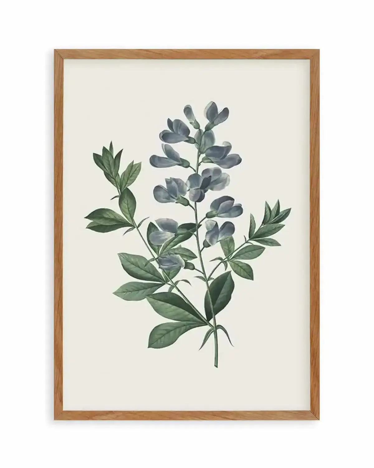 Botanica I Art Print from Olive et Oriel where you can shop wallpaper and artworks online