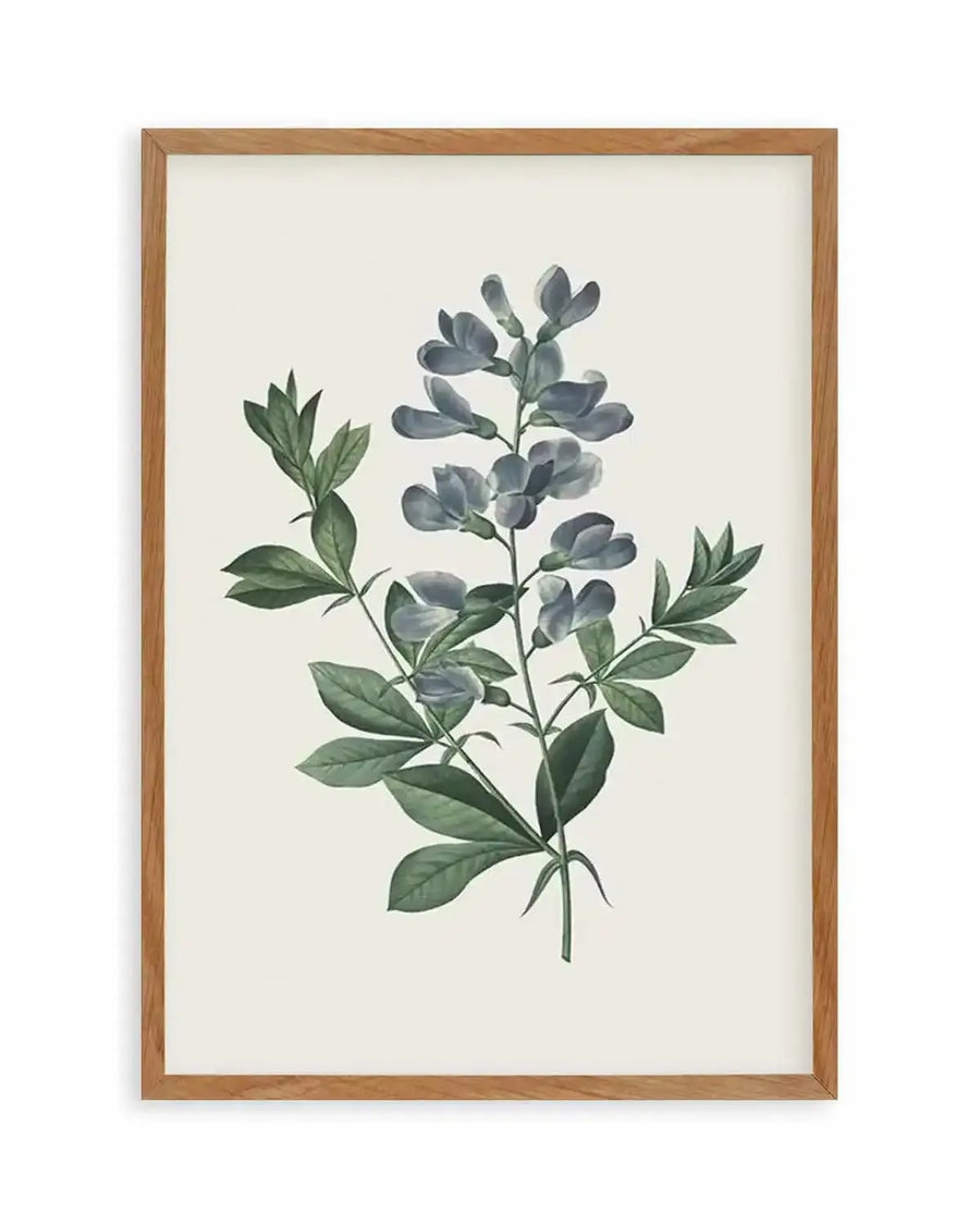 Botanica I Art Print from Olive et Oriel where you can shop wallpaper and artworks online
