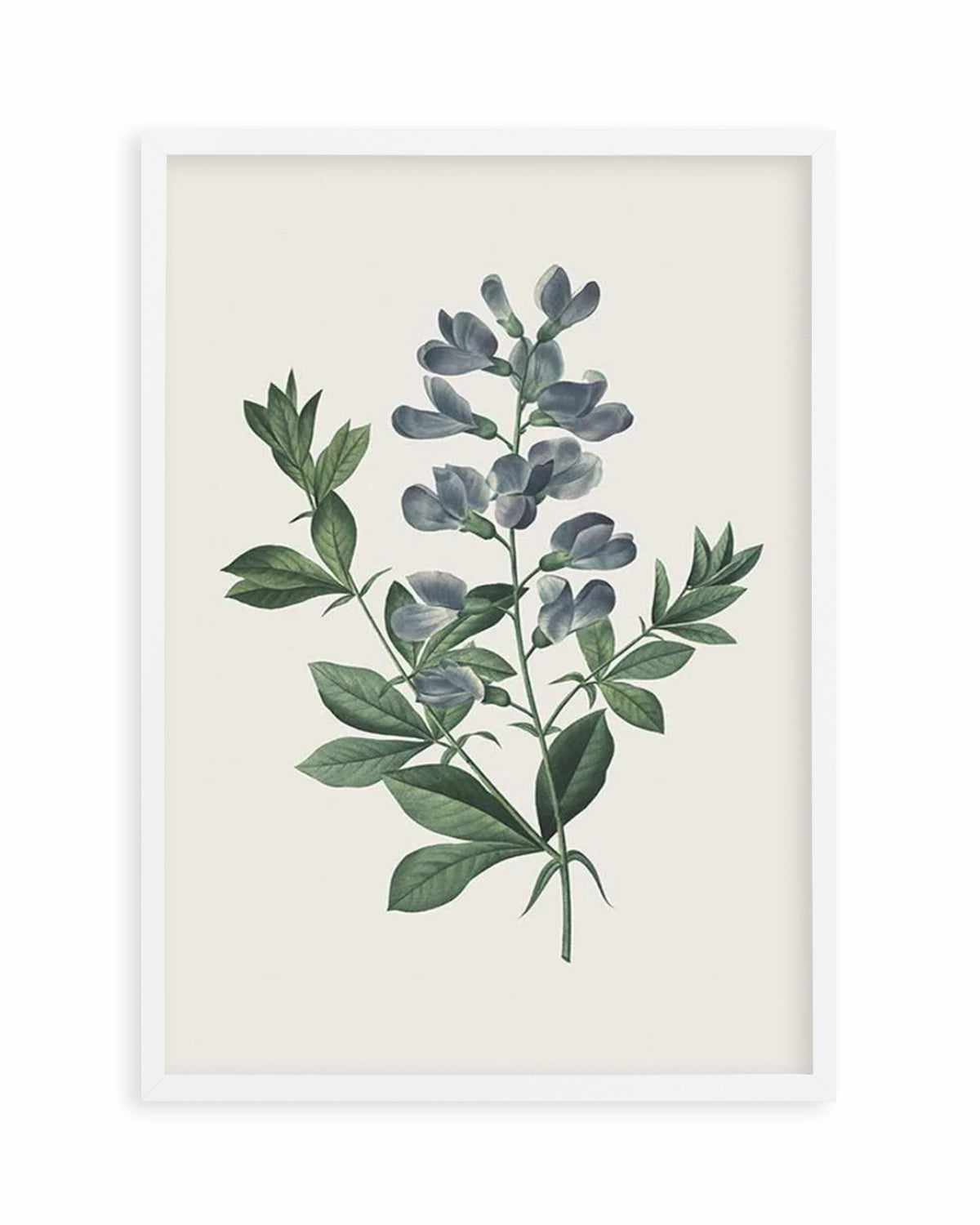 Botanica I Art Print