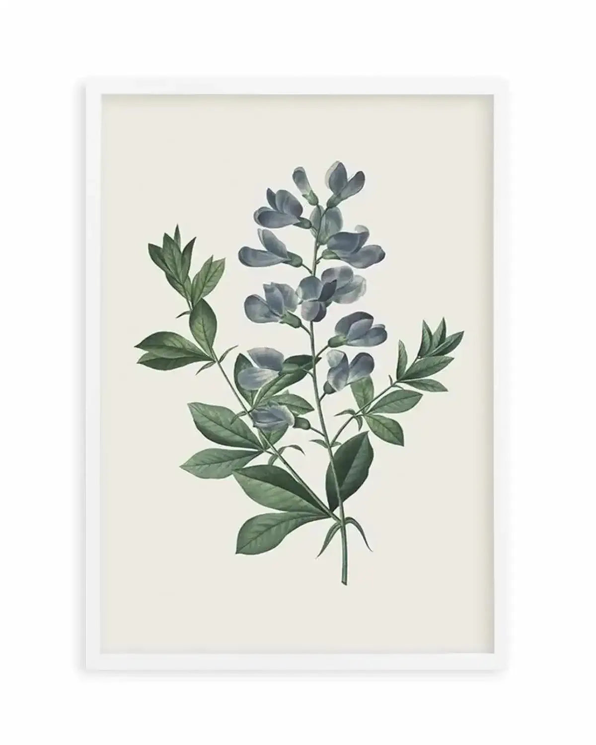 Botanica I Art Print from Olive et Oriel where you can shop wallpaper and artworks online
