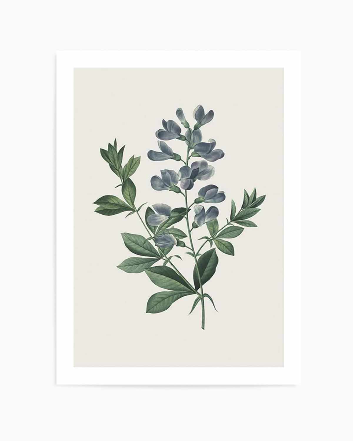 Botanica I Art Print