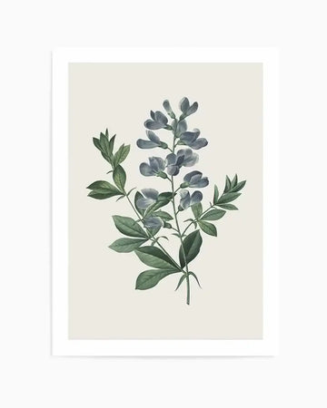 Botanica I Art Print from Olive et Oriel where you can shop wallpaper and artworks online