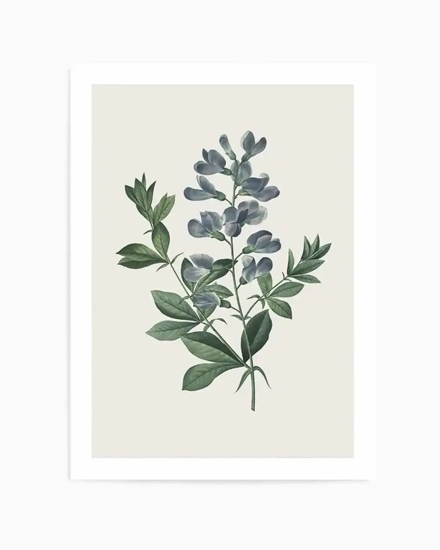 Botanica I Art Print from Olive et Oriel where you can shop wallpaper and artworks online