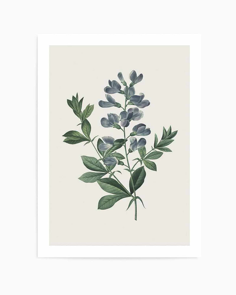 Botanica I Art Print