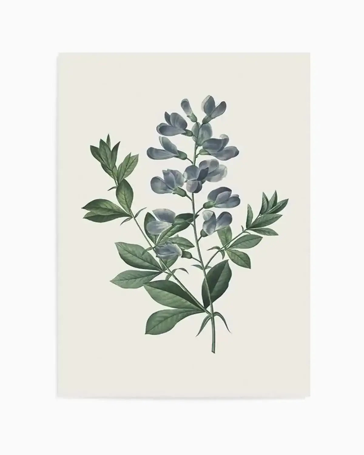 Botanica I Art Print from Olive et Oriel where you can shop wallpaper and artworks online