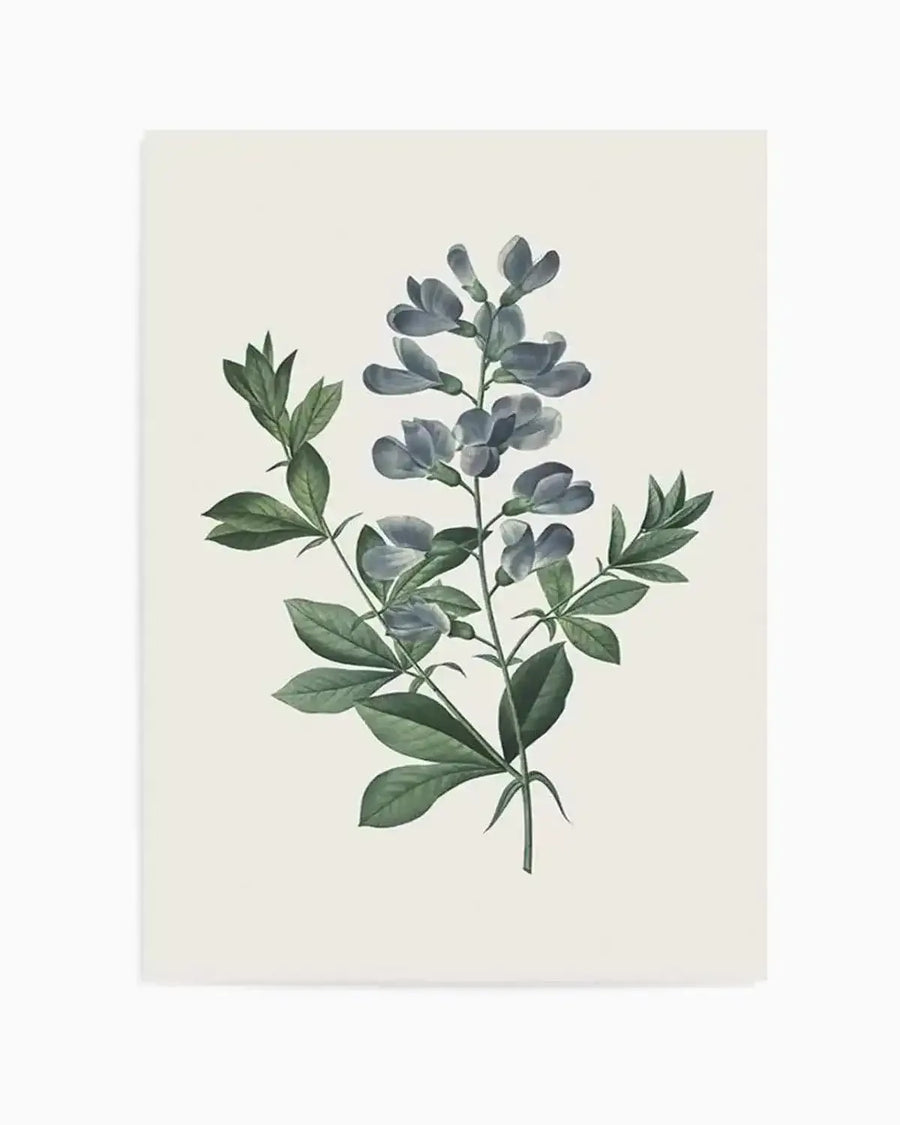 Botanica I Art Print from Olive et Oriel where you can shop wallpaper and artworks online