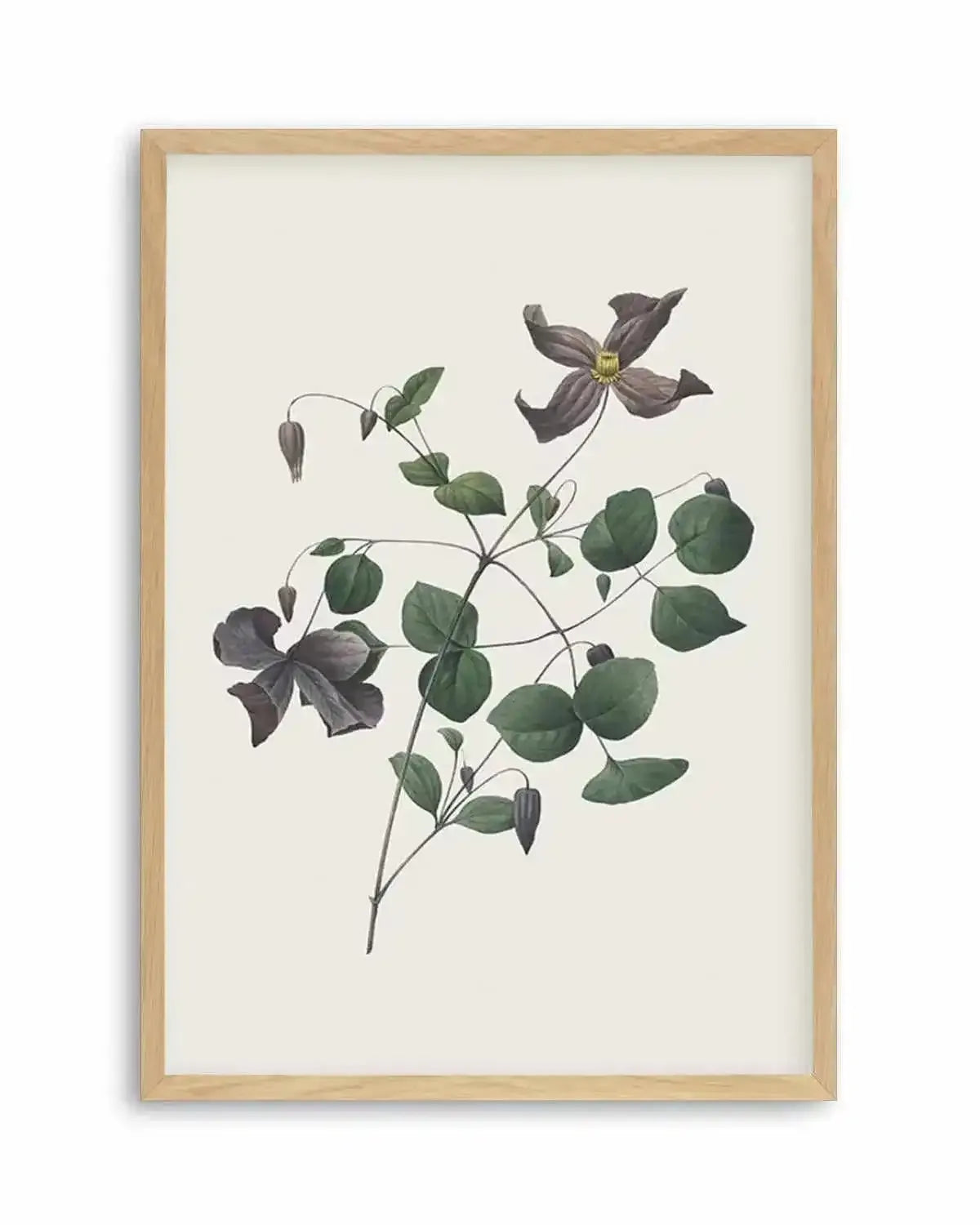 Botanica II Art Print from Olive et Oriel where you can shop wallpaper and artworks online