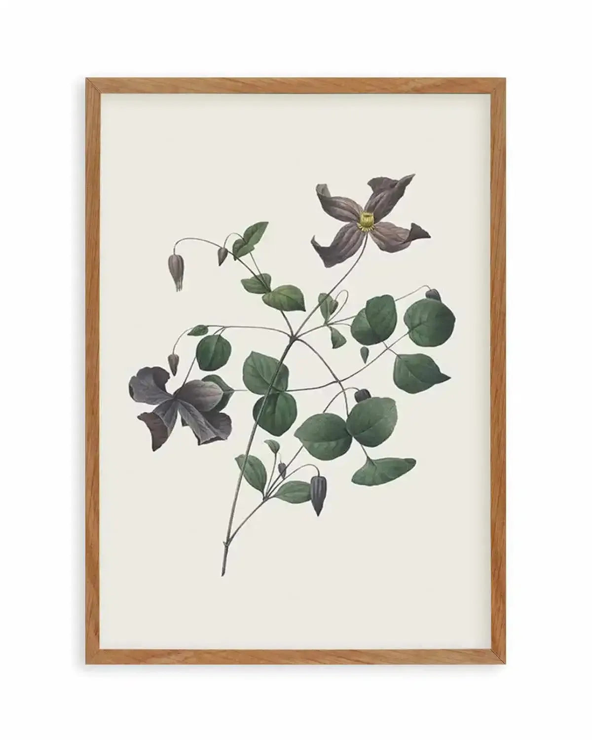 Botanica II Art Print from Olive et Oriel where you can shop wallpaper and artworks online