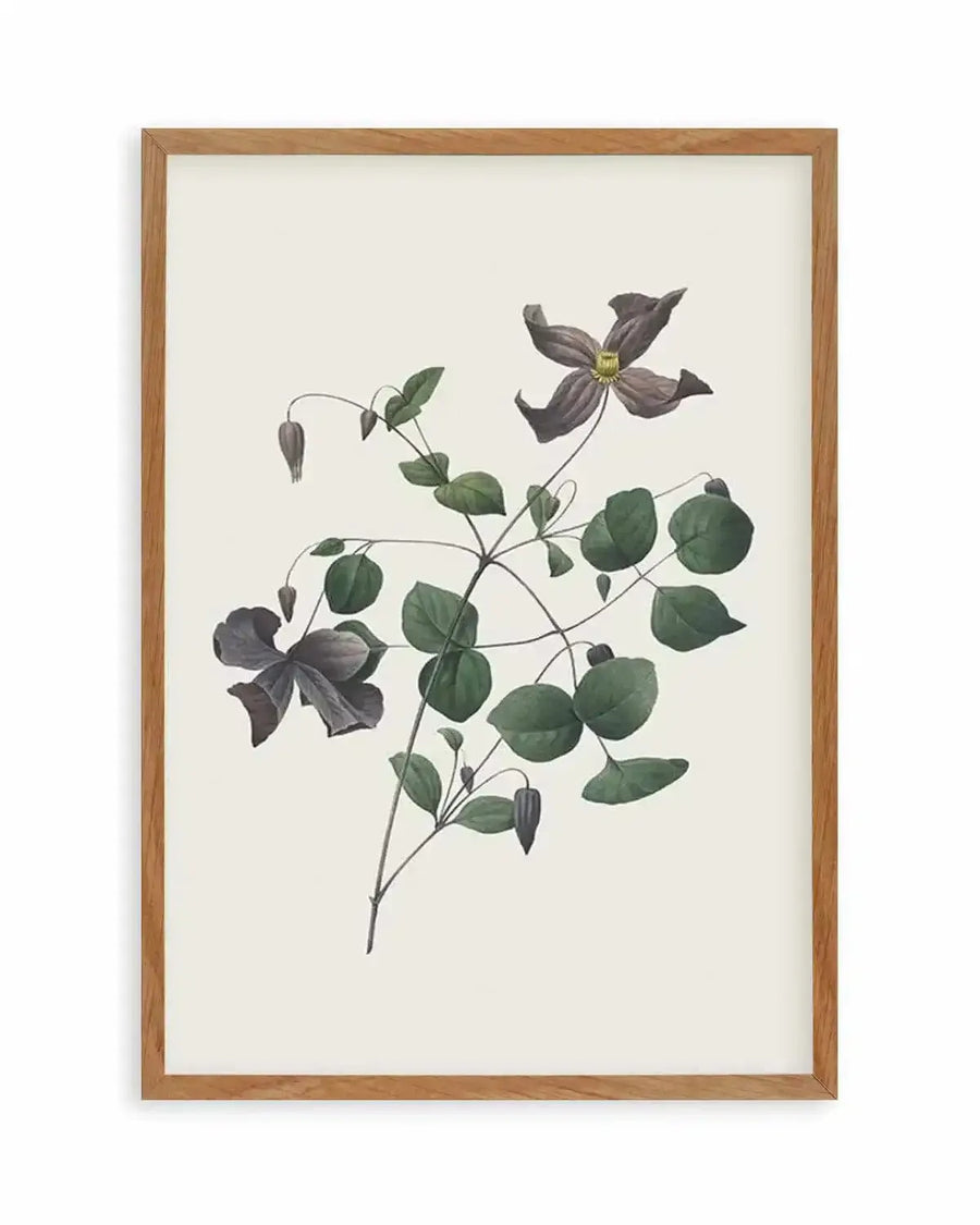 Botanica II Art Print from Olive et Oriel where you can shop wallpaper and artworks online