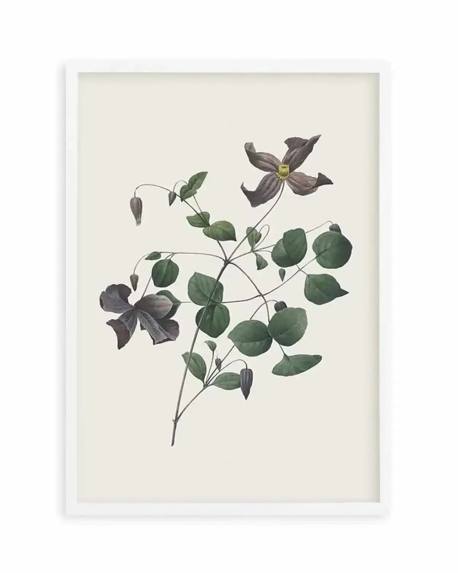 Botanica II Art Print from Olive et Oriel where you can shop wallpaper and artworks online