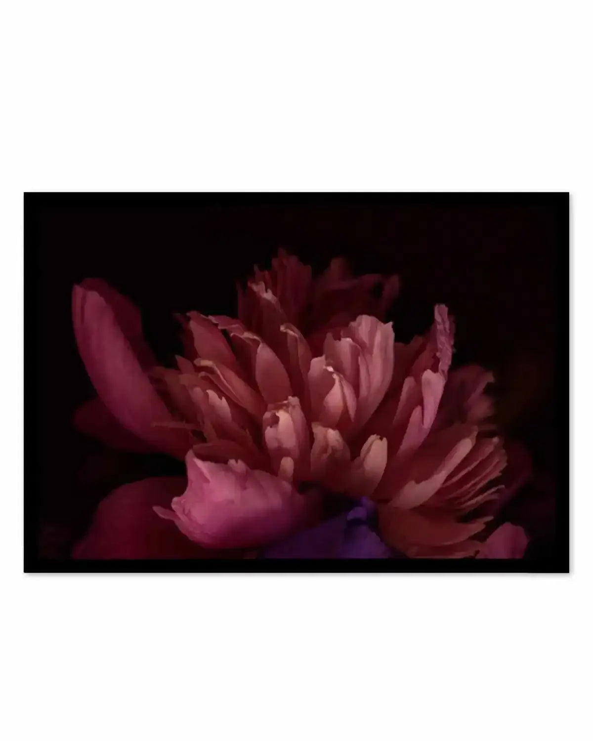 Botanica III LS Art Print from Olive et Oriel where you can shop wallpaper and artworks online