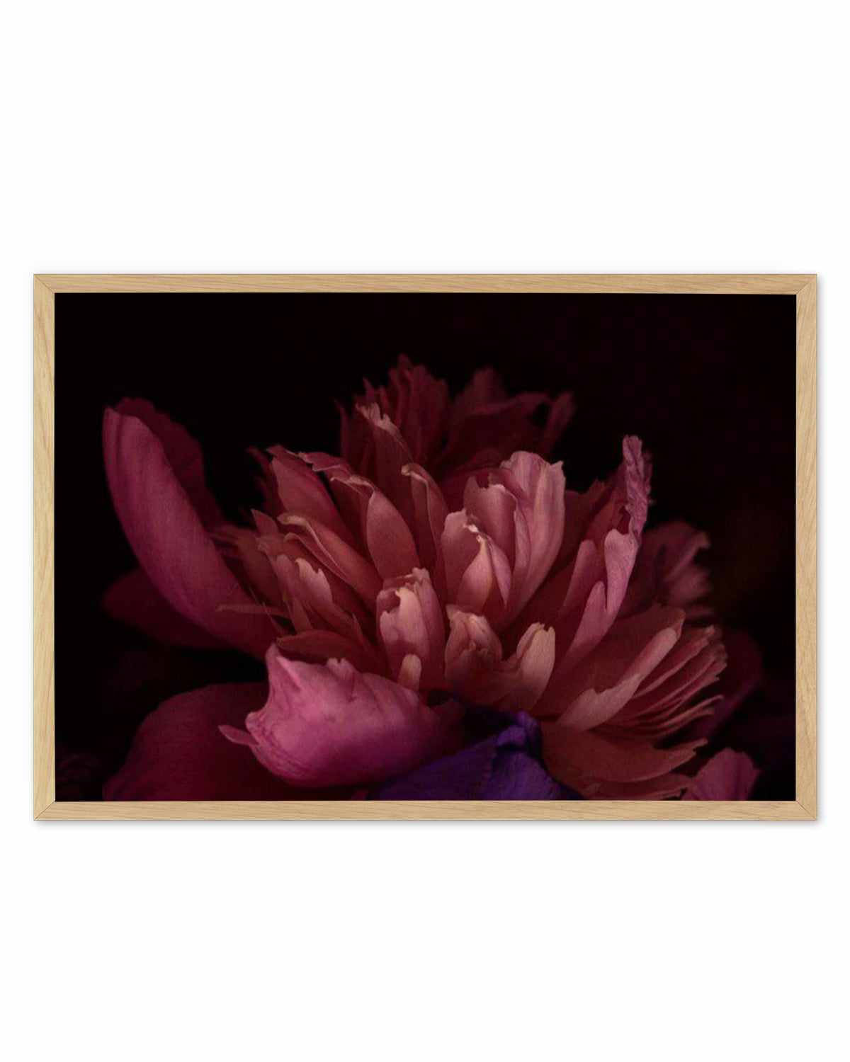 Botanica III LS Art Print