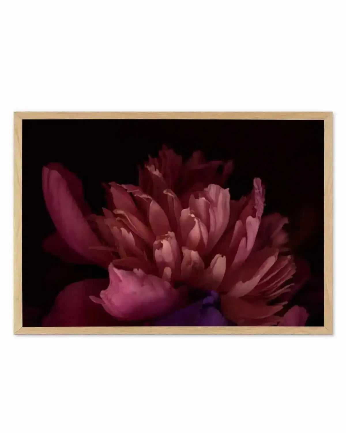 Botanica III LS Art Print from Olive et Oriel where you can shop wallpaper and artworks online