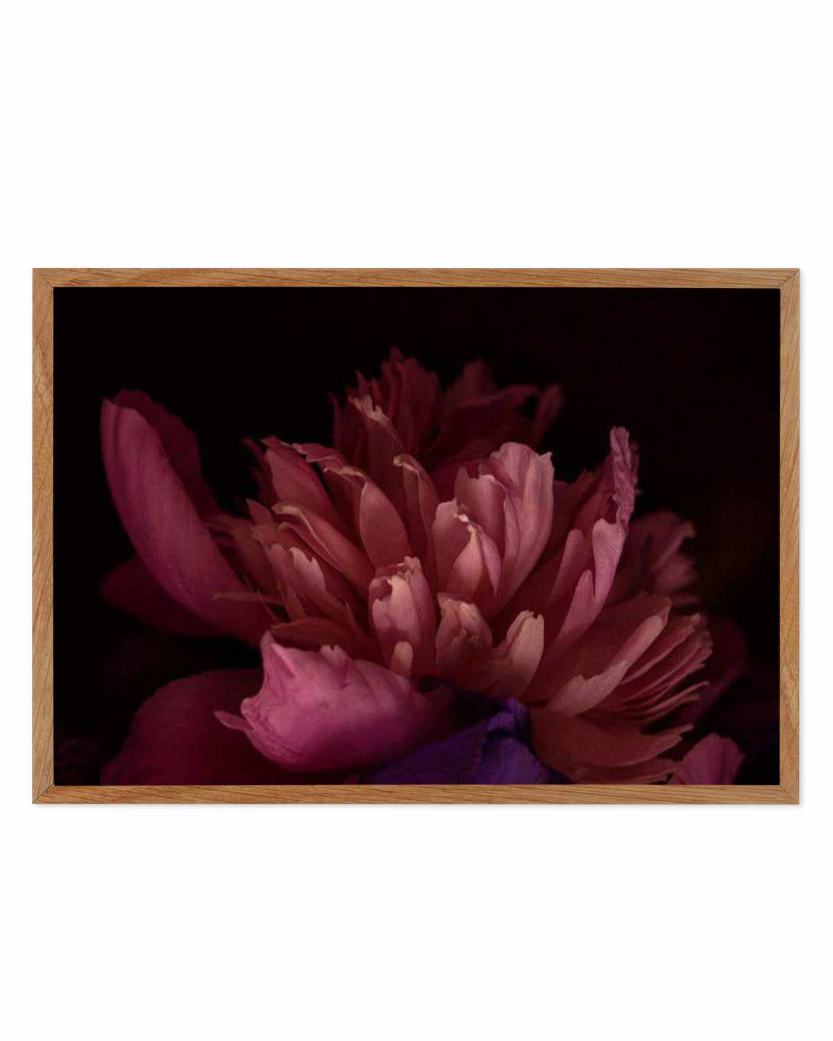 Botanica III LS Art Print