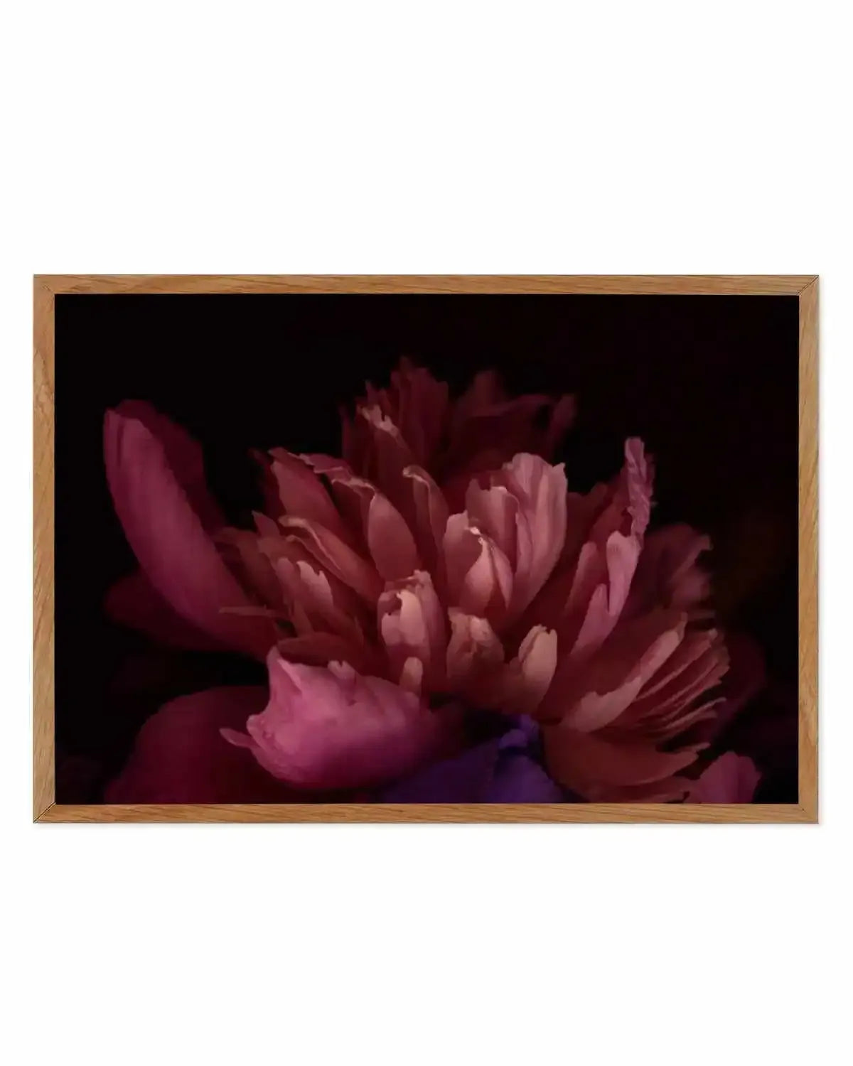 Botanica III LS Art Print from Olive et Oriel where you can shop wallpaper and artworks online