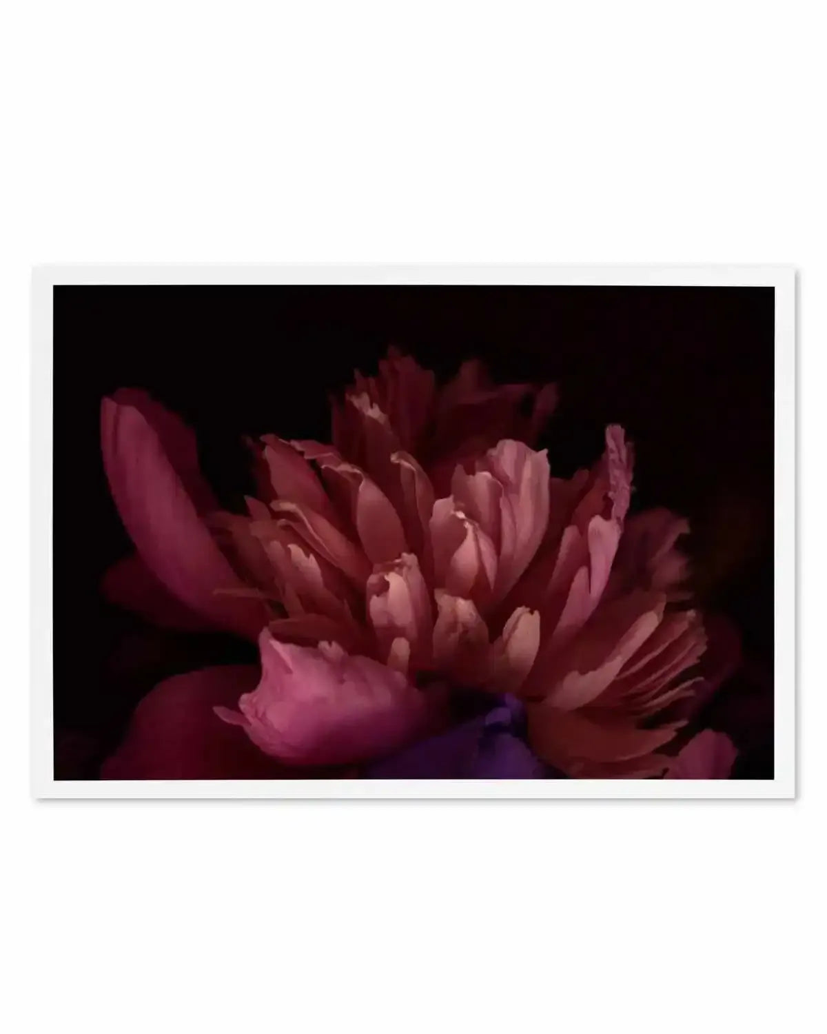 Botanica III LS Art Print from Olive et Oriel where you can shop wallpaper and artworks online