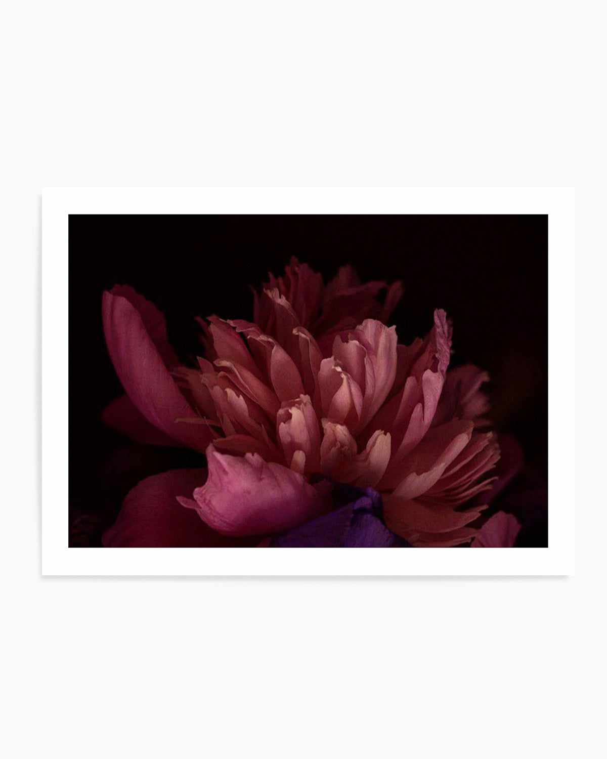 Botanica III LS Art Print