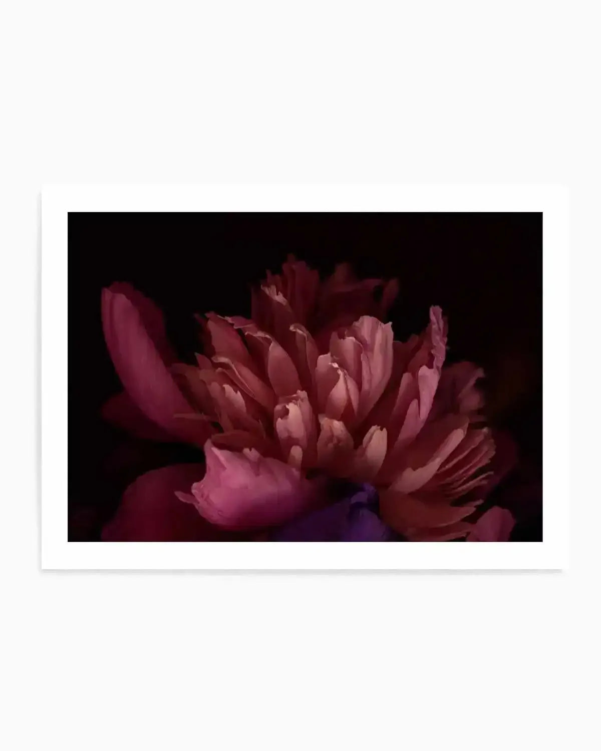 Botanica III LS Art Print from Olive et Oriel where you can shop wallpaper and artworks online