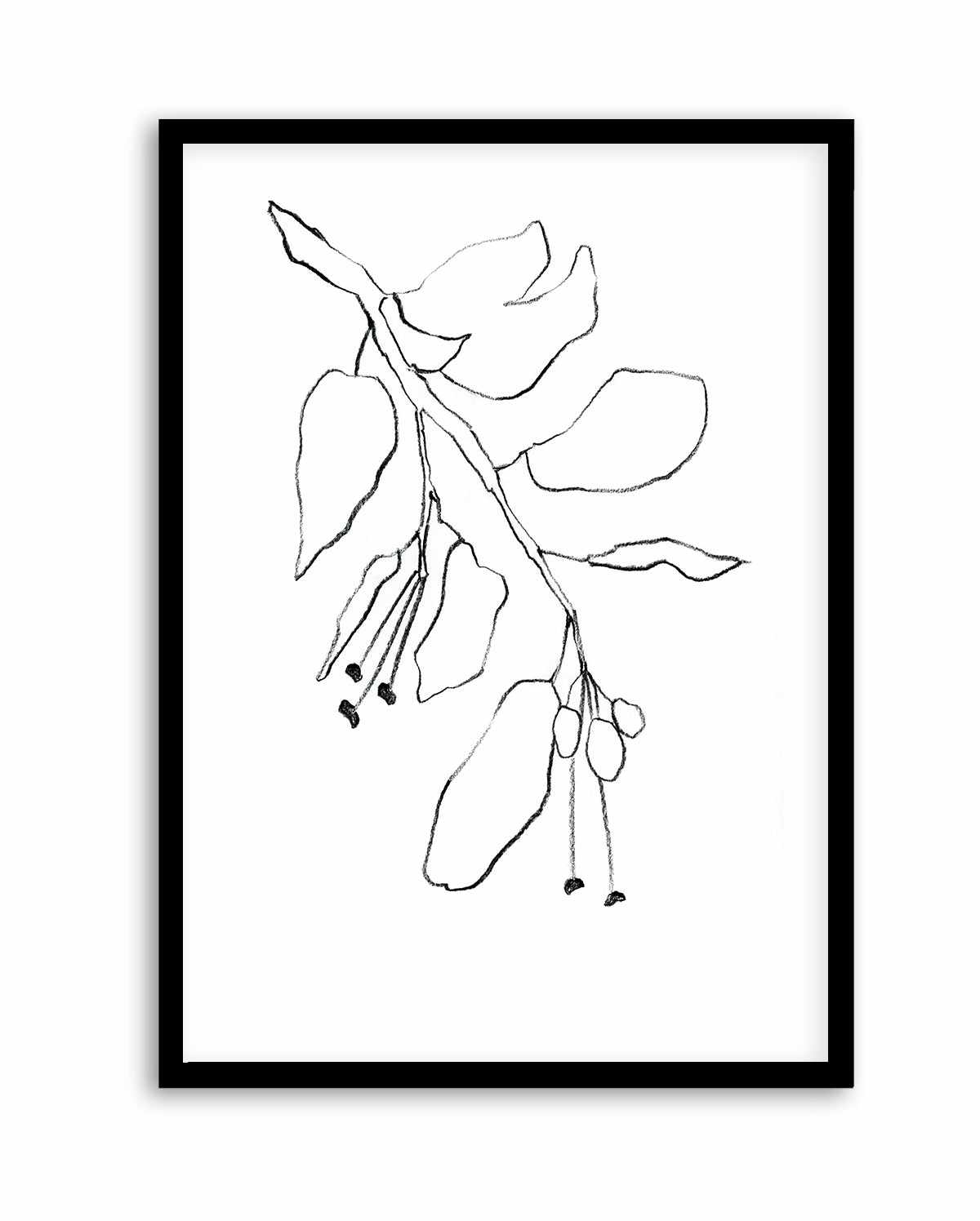 Botanica In Pencil Sky By Shina Choi | Art Print from Olive et Oriel where you can shop wallpaper and artworks online