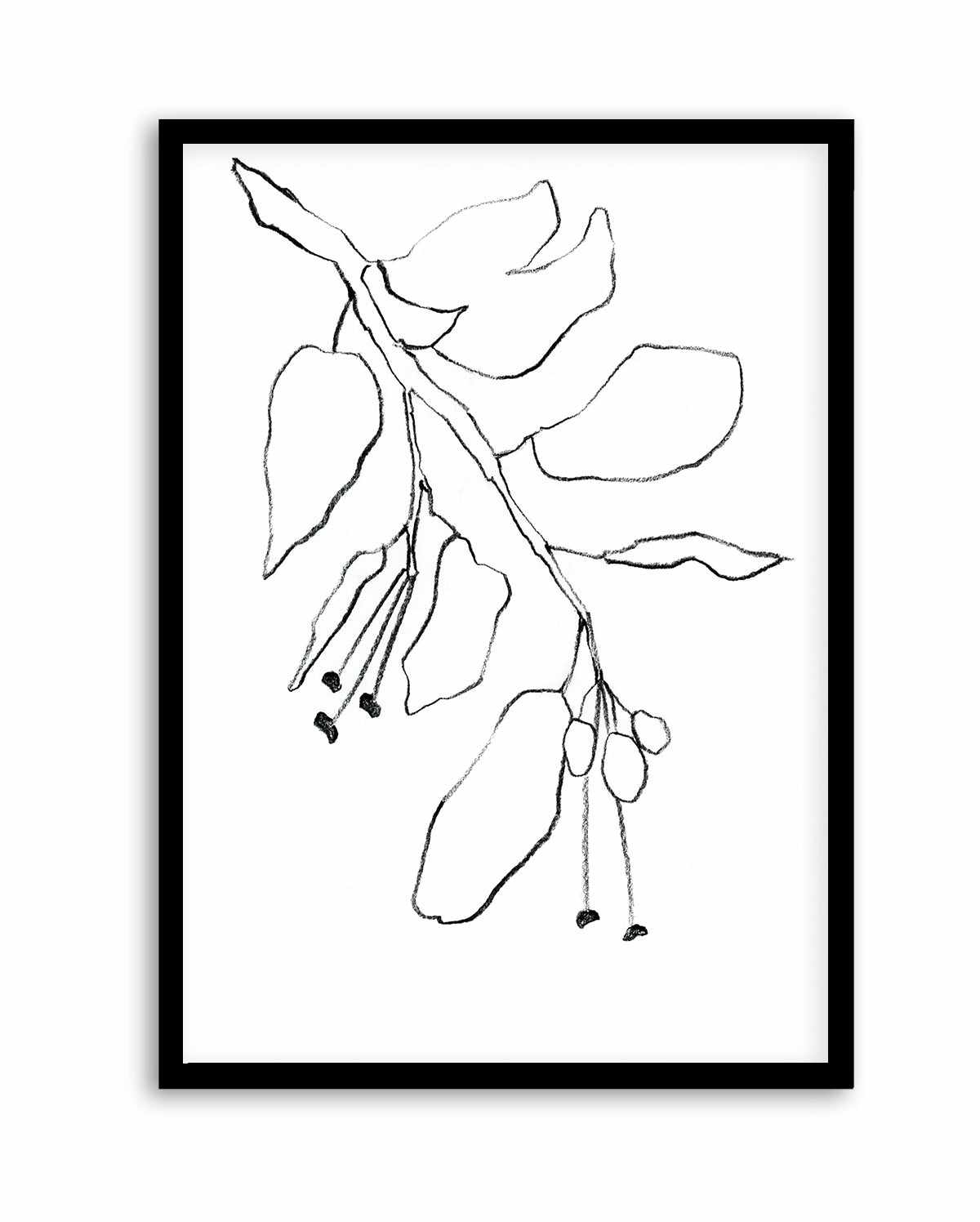 Botanica In Pencil Sky By Shina Choi | Art Print from Olive et Oriel where you can shop wallpaper and artworks online