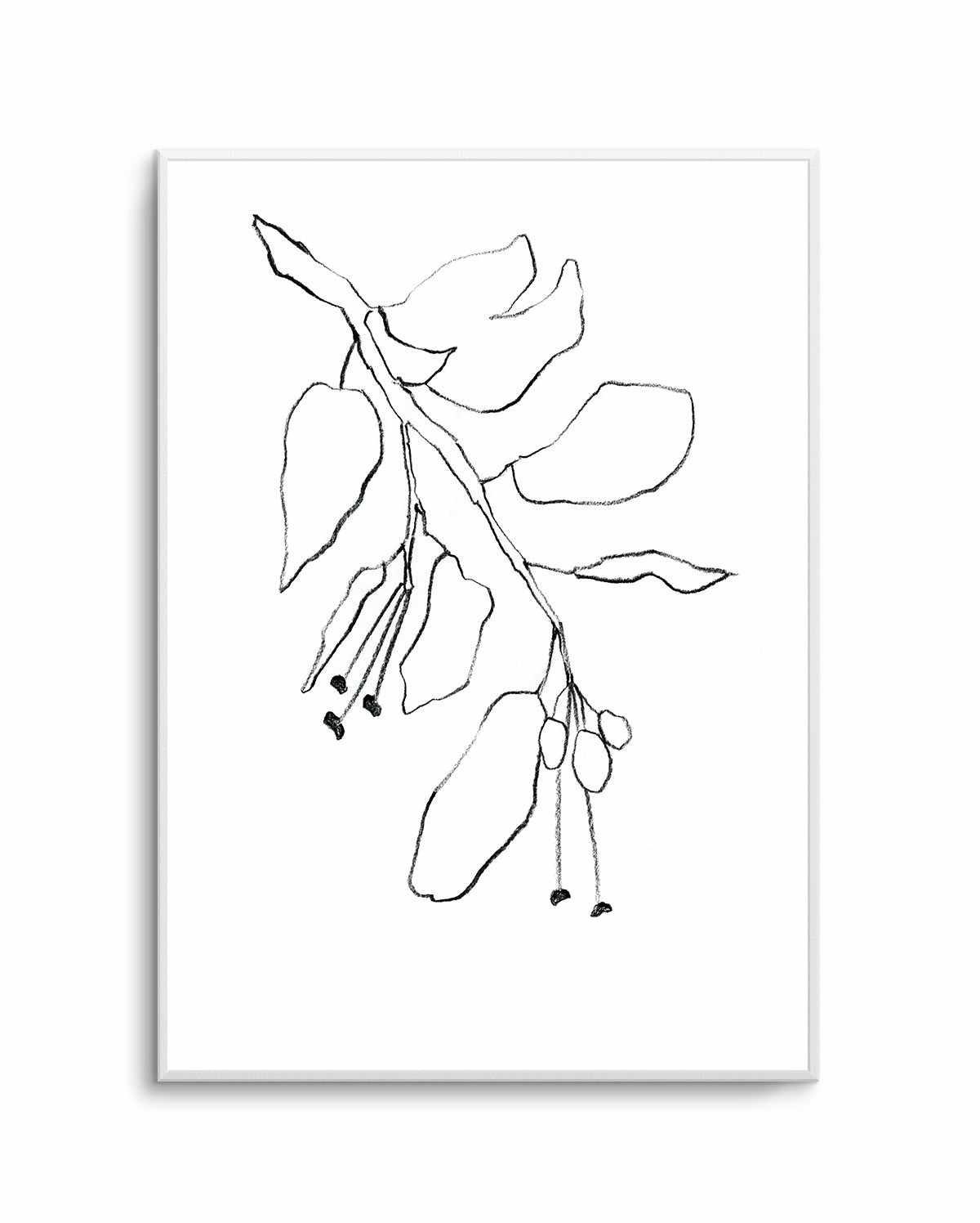 Botanica In Pencil Sky By Shina Choi | Art Print from Olive et Oriel where you can shop wallpaper and artworks online