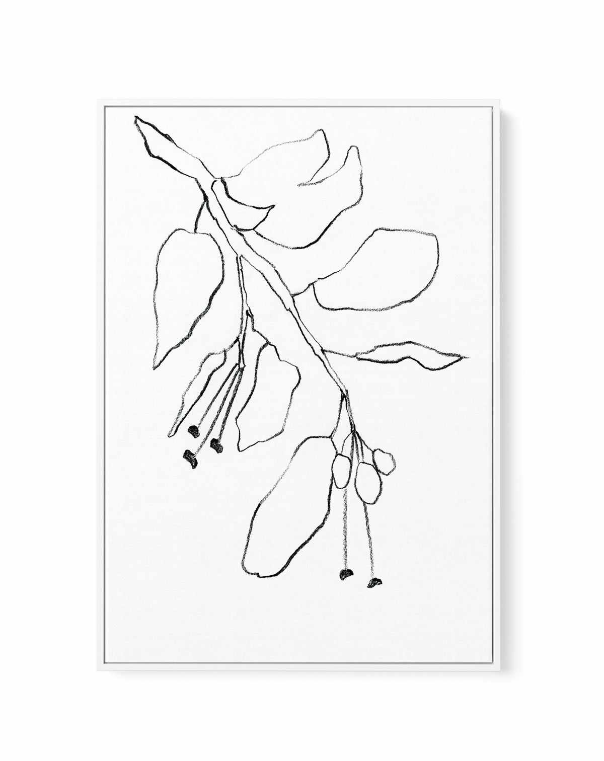 Botanica In Pencil Sky By Shina Choi | Framed Canvas Art Print