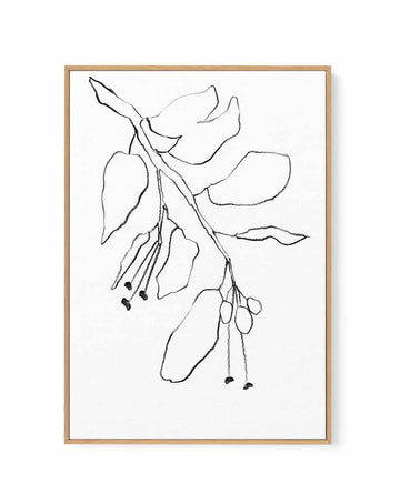Botanica In Pencil Sky By Shina Choi | Framed Canvas Art Print from Olive et Oriel where you can shop wallpaper and artworks online