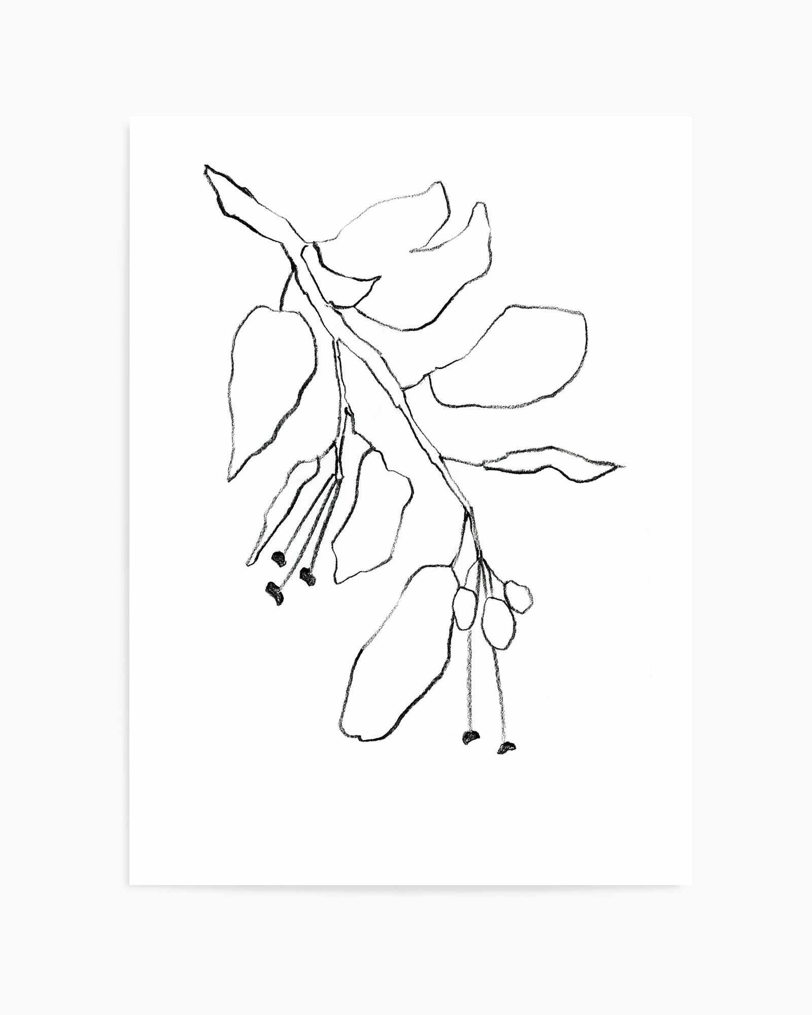 Botanica In Pencil Sky By Shina Choi | Art Print from Olive et Oriel where you can shop wallpaper and artworks online