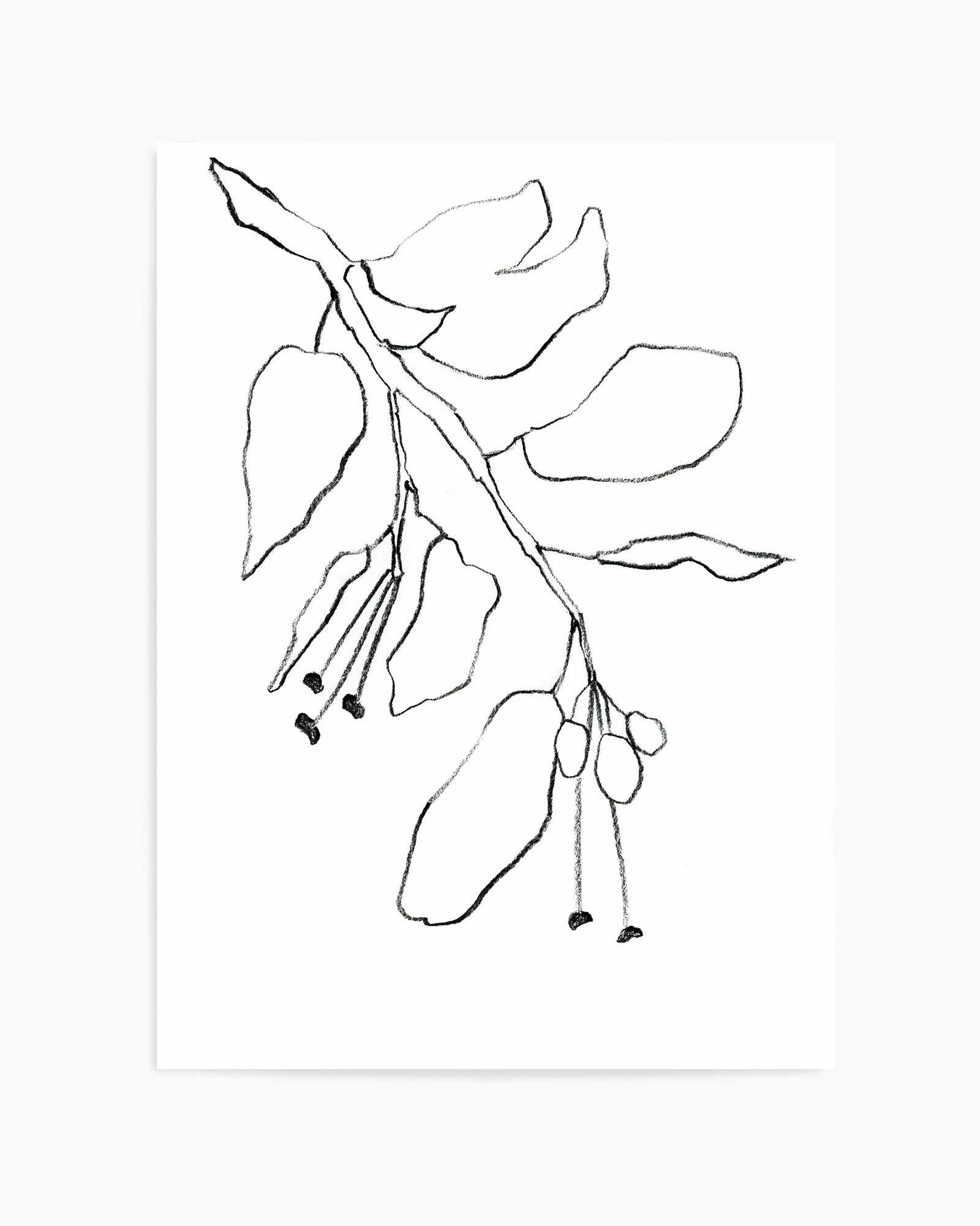 Botanica In Pencil Sky By Shina Choi | Art Print from Olive et Oriel where you can shop wallpaper and artworks online