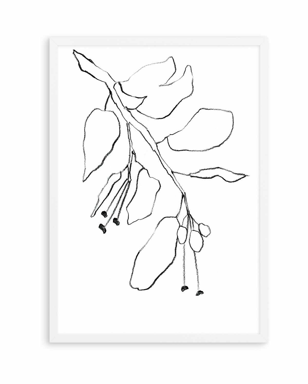 Botanica In Pencil Sky By Shina Choi | Art Print from Olive et Oriel where you can shop wallpaper and artworks online