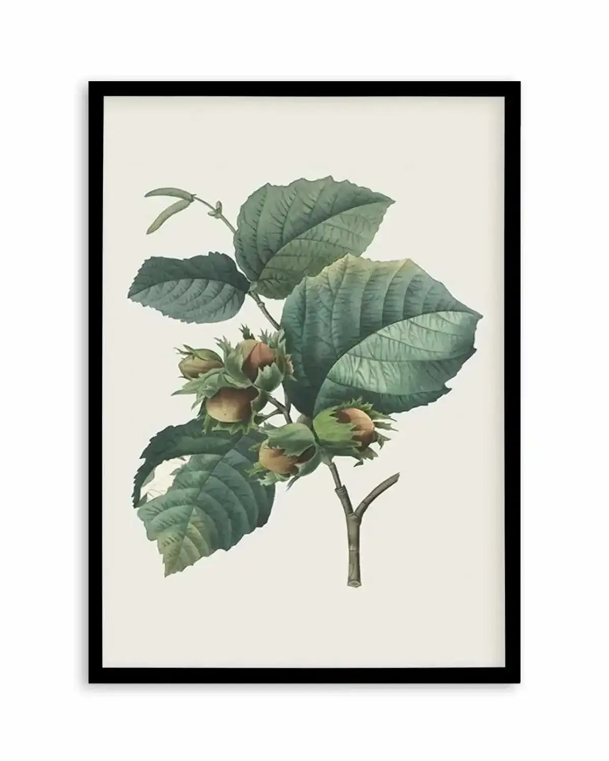 Botanica V Art Print from Olive et Oriel where you can shop wallpaper and artworks online