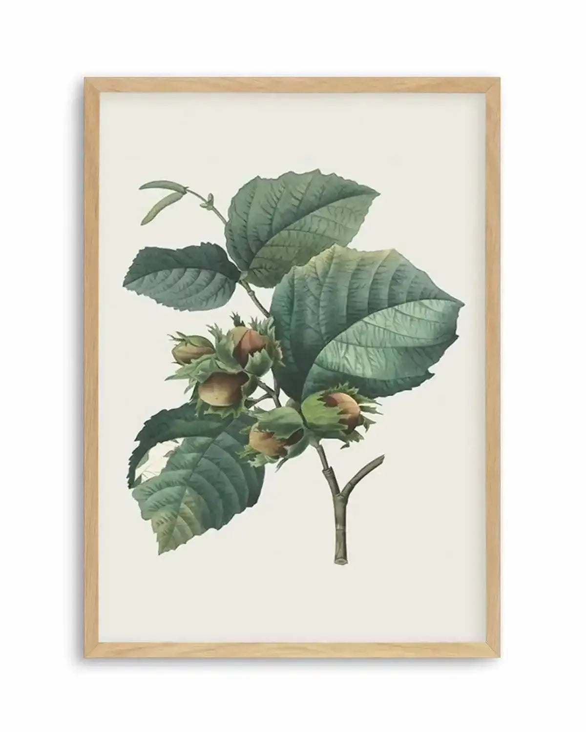 Botanica V Art Print from Olive et Oriel where you can shop wallpaper and artworks online