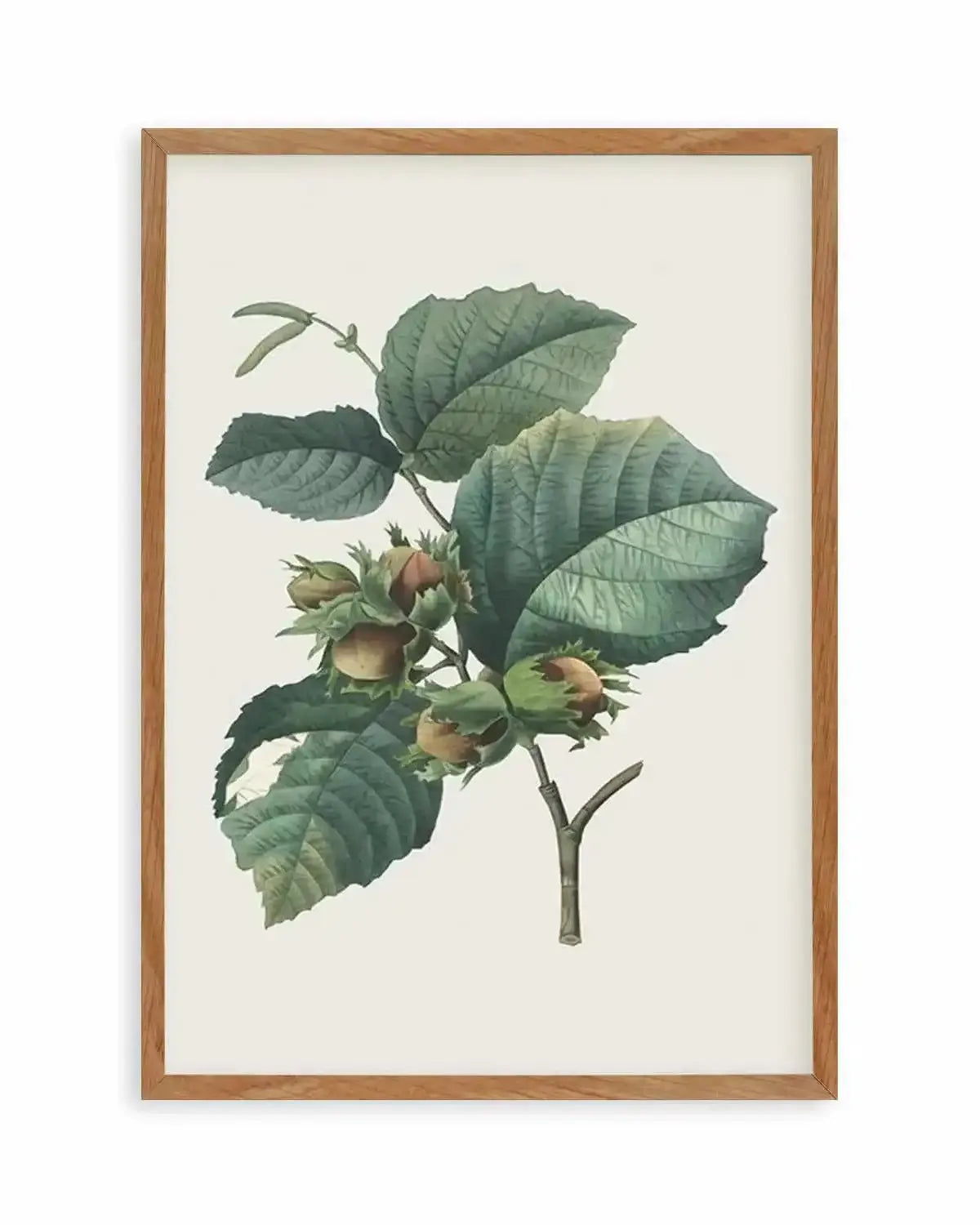 Botanica V Art Print from Olive et Oriel where you can shop wallpaper and artworks online