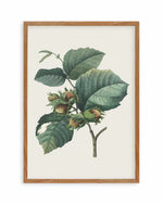 Botanica V Art Print