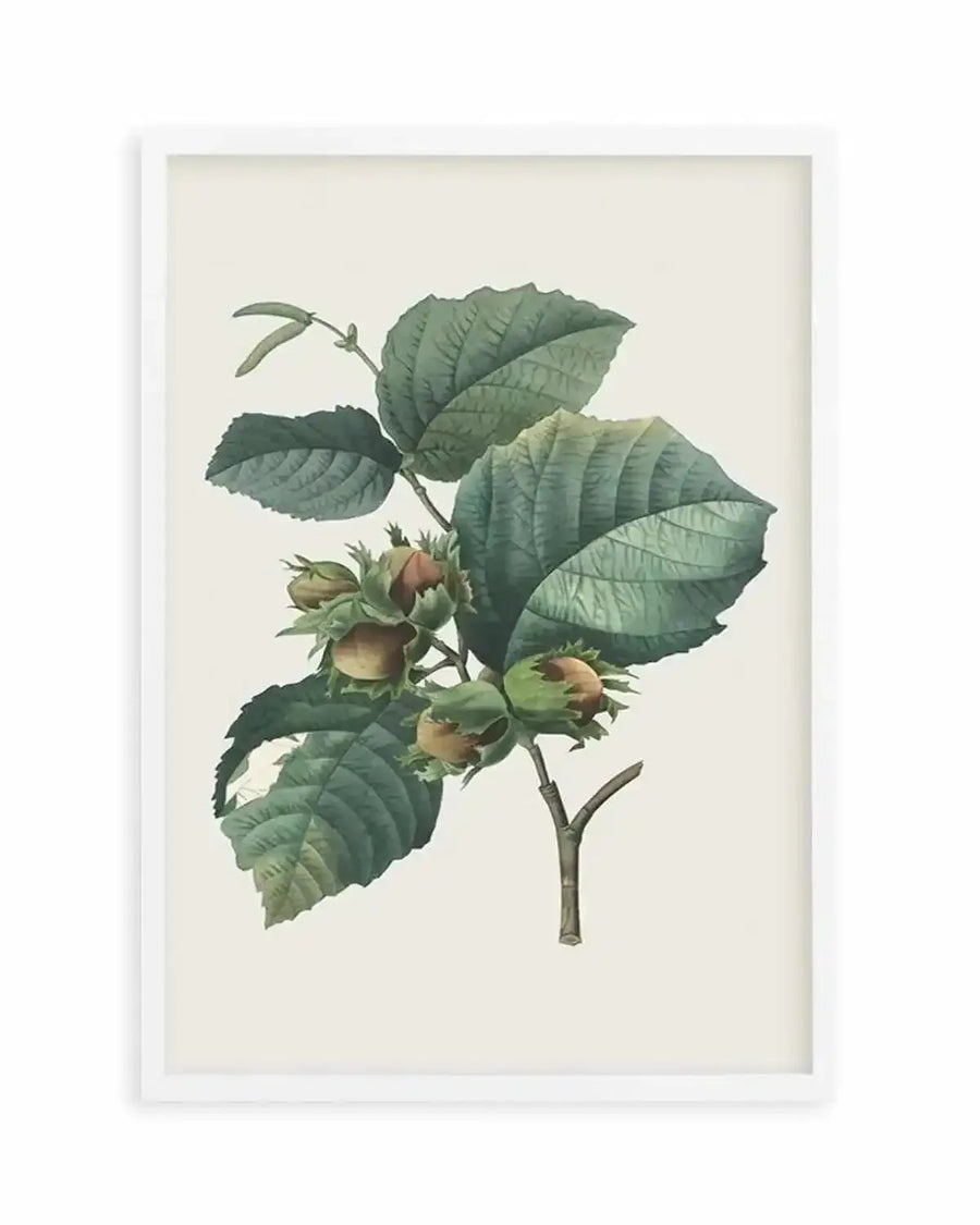 Botanica V Art Print from Olive et Oriel where you can shop wallpaper and artworks online