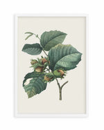 Botanica V Art Print