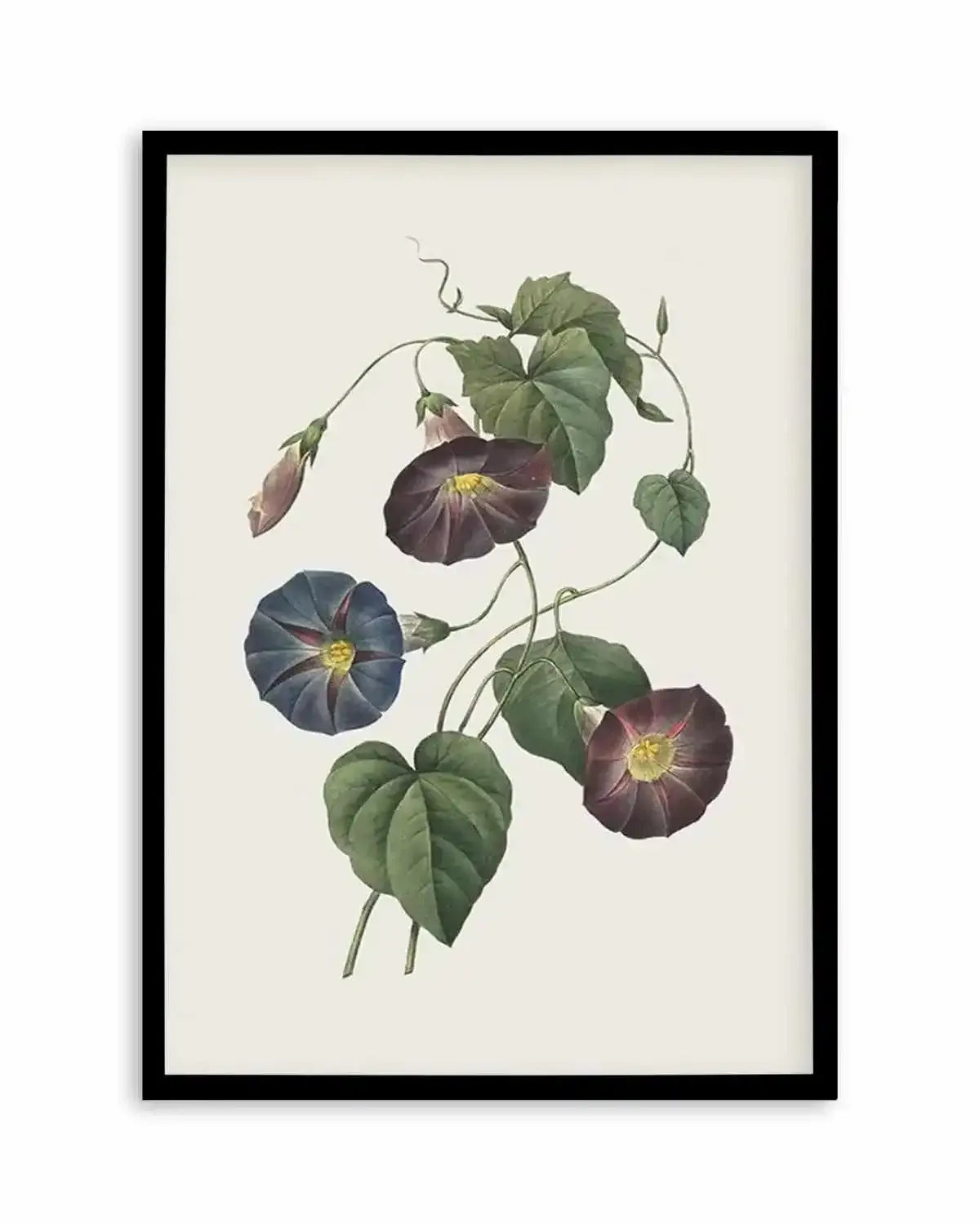 Botanica VI Art Print from Olive et Oriel where you can shop wallpaper and artworks online