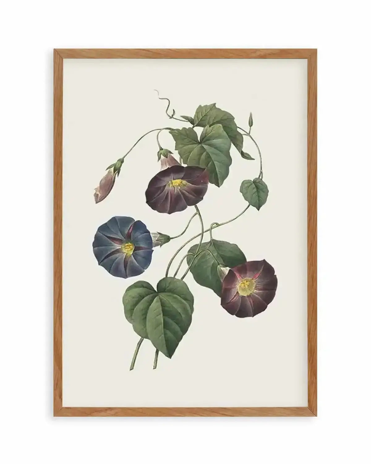 Botanica VI Art Print from Olive et Oriel where you can shop wallpaper and artworks online