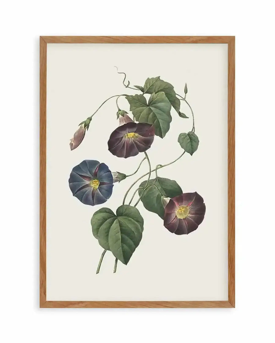 Botanica VI Art Print from Olive et Oriel where you can shop wallpaper and artworks online