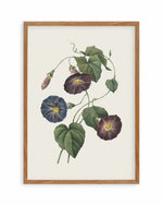 Botanica VI Art Print