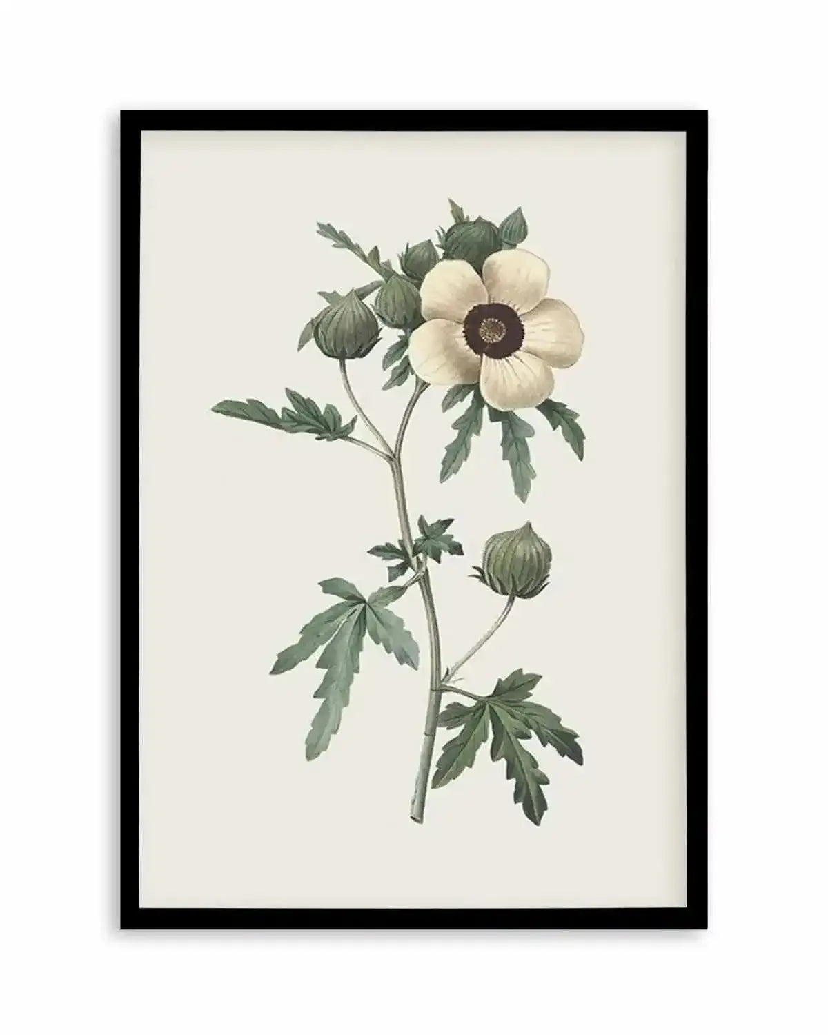 Botanica VII Art Print from Olive et Oriel where you can shop wallpaper and artworks online